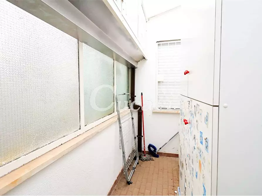 Immagine 66 di Trilocale in affitto  in via maffeo.pantaleoni a Frascati