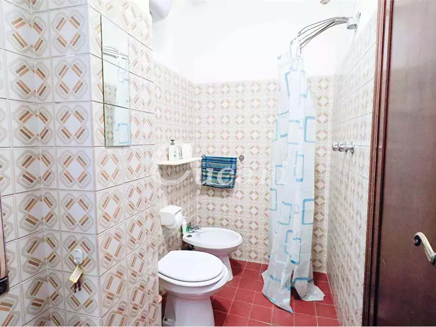 Immagine 16 di Trilocale in affitto  in via maffeo.pantaleoni a Frascati