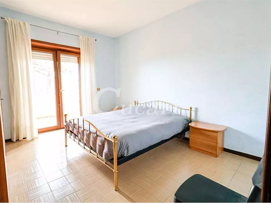 Immagine 8 di Trilocale in affitto  in via maffeo.pantaleoni a Frascati