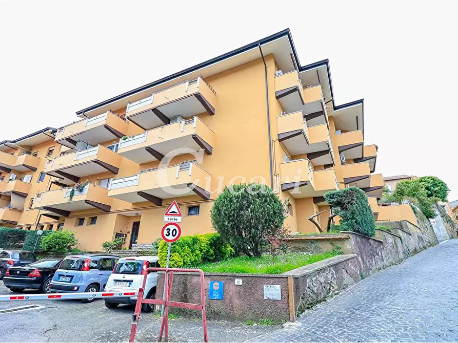 Immagine 40 di Trilocale in affitto  in via maffeo.pantaleoni a Frascati