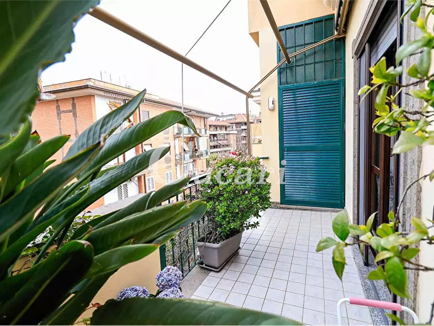 Immagine 10 di Attico in vendita  a Grottaferrata