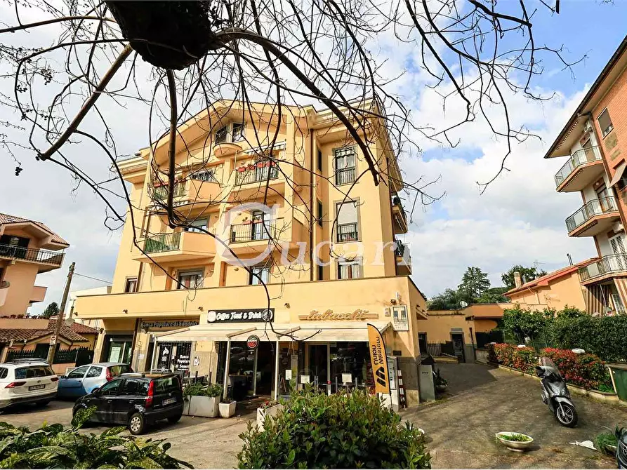 Immagine 11 di Attico in vendita  a Grottaferrata