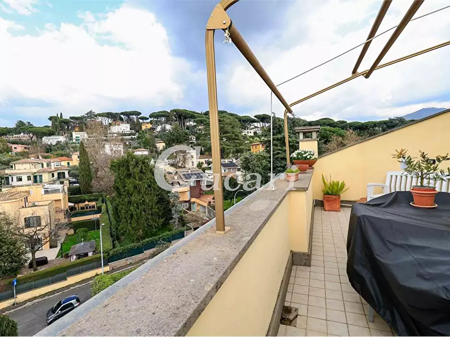 Immagine 26 di Attico in vendita  a Grottaferrata