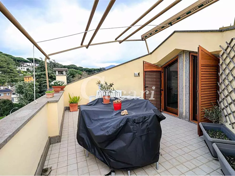 Immagine 27 di Attico in vendita  a Grottaferrata