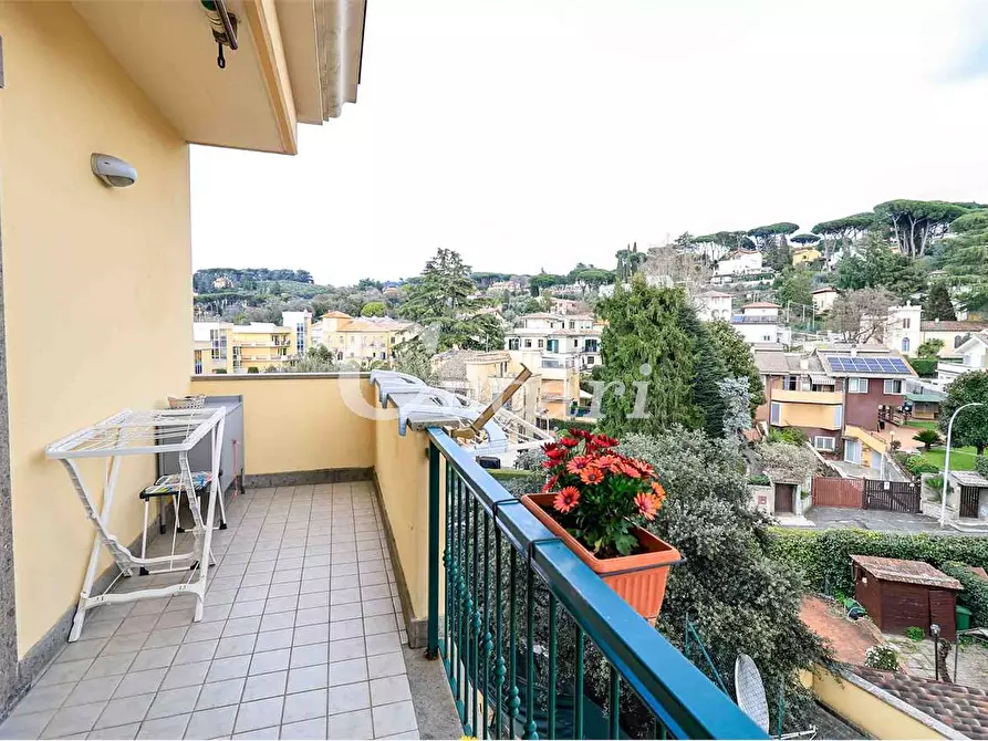 Immagine 33 di Attico in vendita  a Grottaferrata