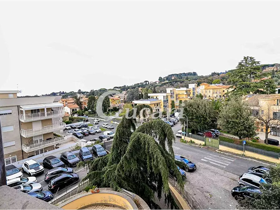 Immagine 34 di Attico in vendita  a Grottaferrata