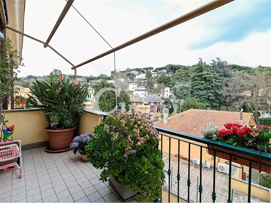 Immagine 45 di Attico in vendita  a Grottaferrata