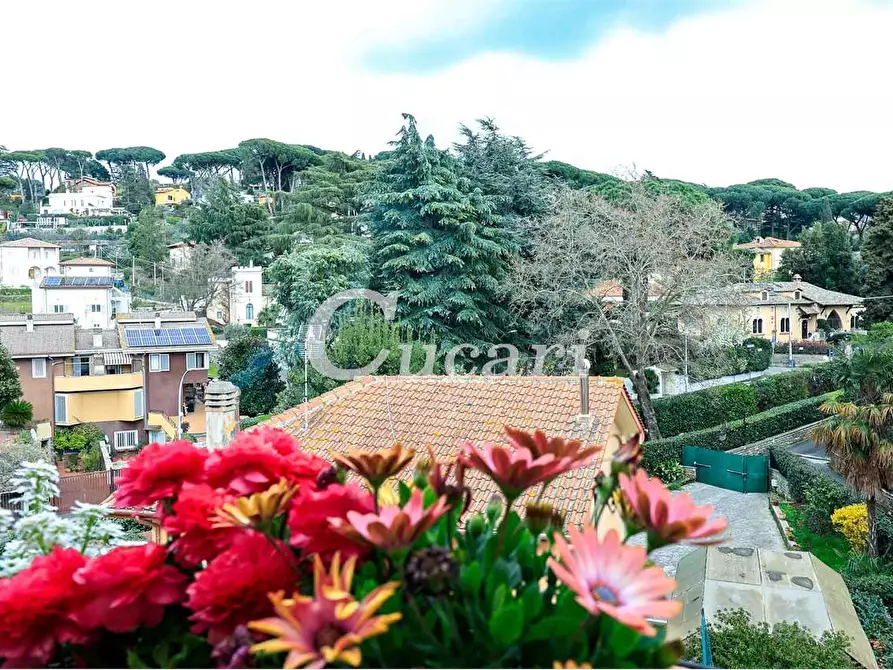 Immagine 46 di Attico in vendita  a Grottaferrata