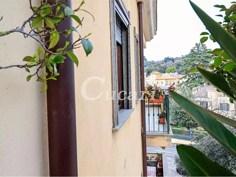 Immagine 47 di Attico in vendita  a Grottaferrata