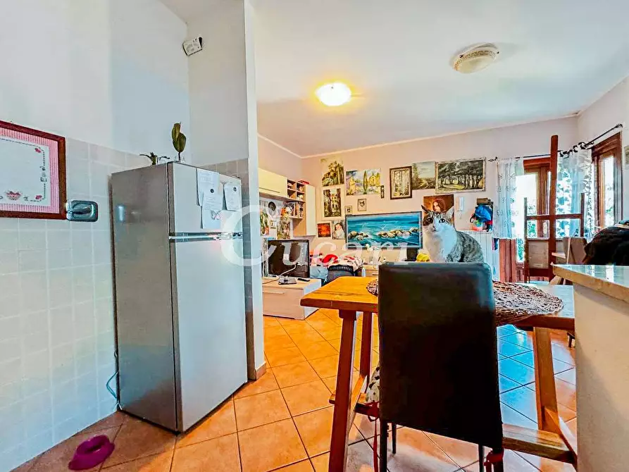 Immagine 9 di Bilocale in vendita  in Largo Dei Furii a Monte Porzio Catone