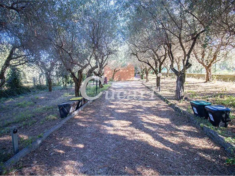 Immagine 5 di Appartamento in vendita  in vicolo delle cisternole a Frascati
