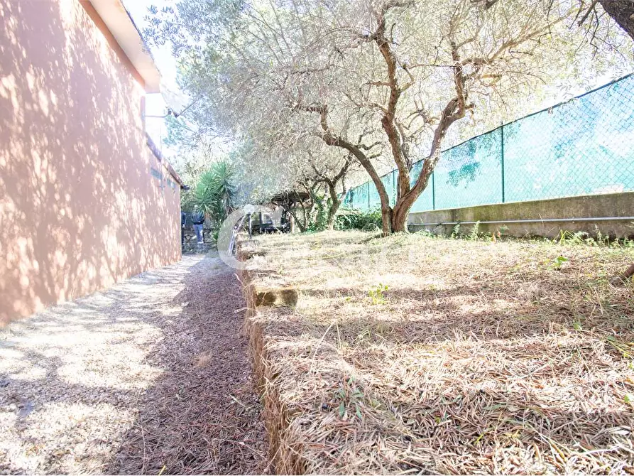 Immagine 9 di Appartamento in vendita  in vicolo delle cisternole a Frascati