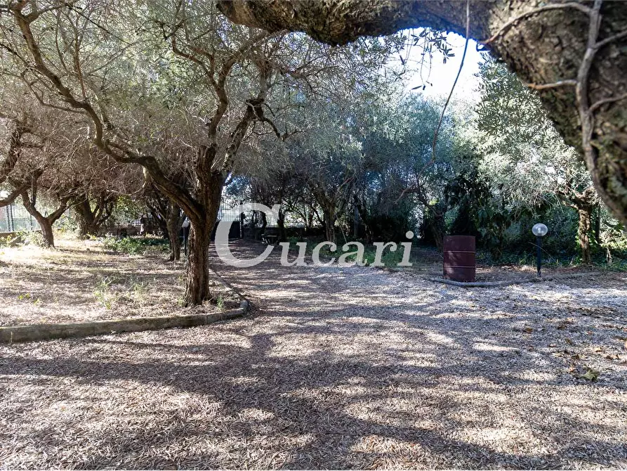 Immagine 11 di Appartamento in vendita  in vicolo delle cisternole a Frascati