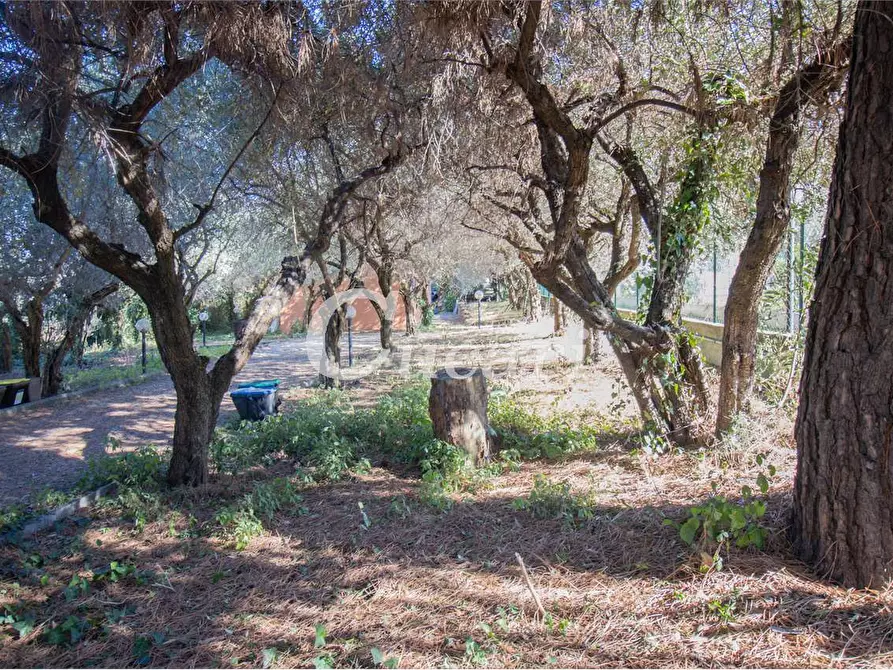 Immagine 13 di Appartamento in vendita  in vicolo delle cisternole a Frascati