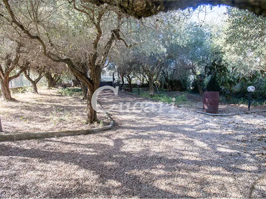 Immagine 14 di Appartamento in vendita  in vicolo delle cisternole a Frascati