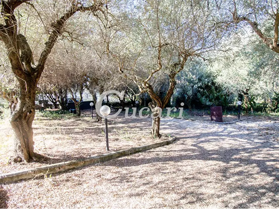 Immagine 15 di Appartamento in vendita  in vicolo delle cisternole a Frascati