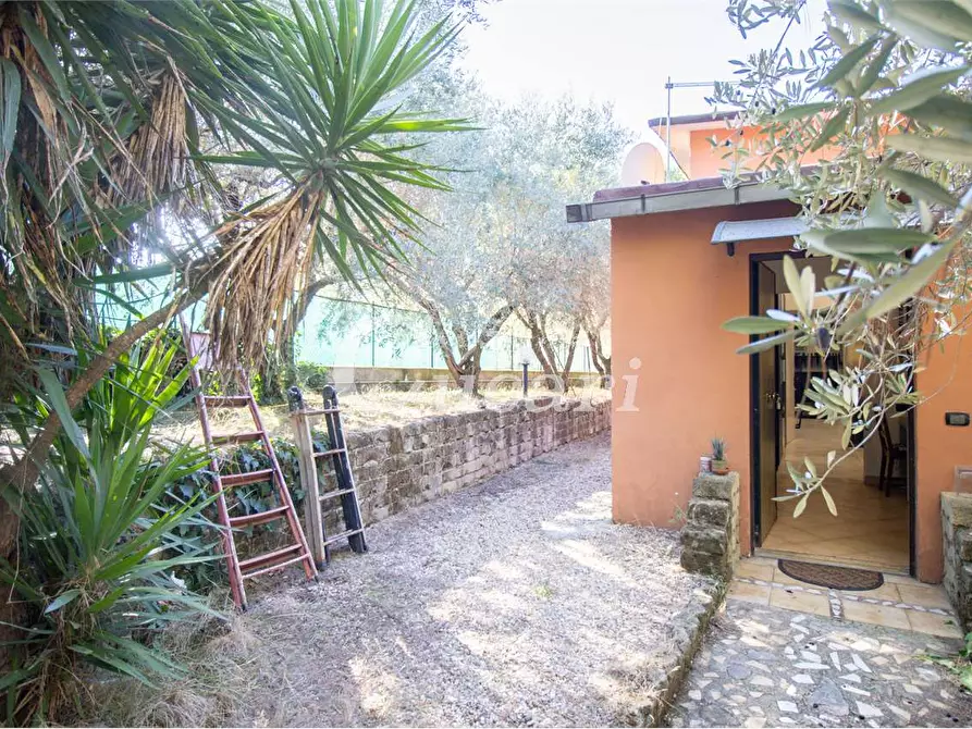 Immagine 16 di Appartamento in vendita  in vicolo delle cisternole a Frascati