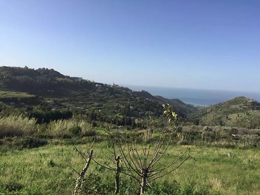 Immagine 2 di Terreno agricolo in vendita  a Messina