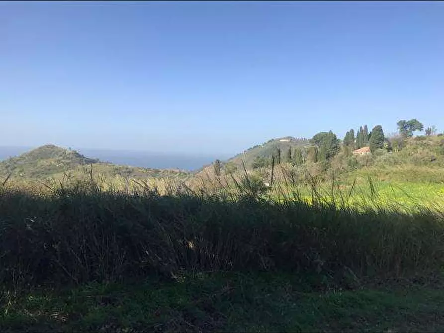 Immagine 3 di Terreno agricolo in vendita  a Messina