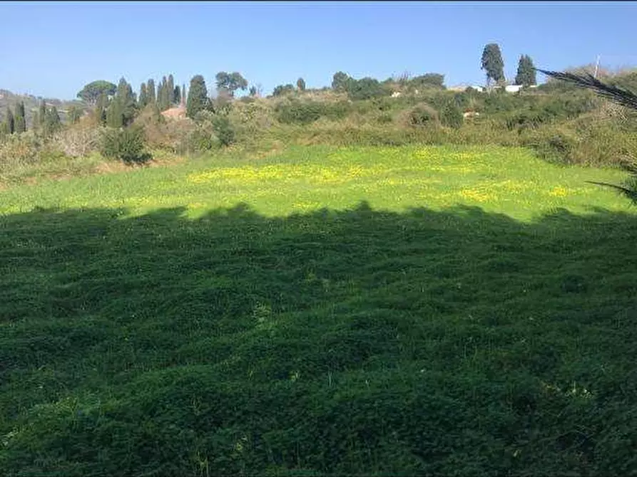 Immagine 5 di Terreno agricolo in vendita  a Messina