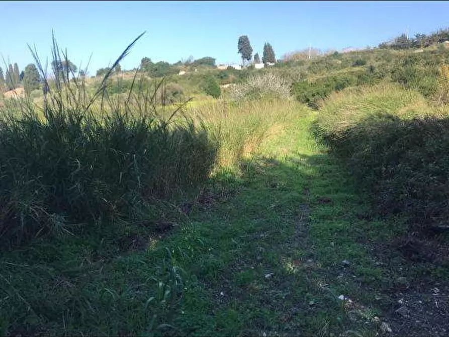 Immagine 6 di Terreno agricolo in vendita  a Messina