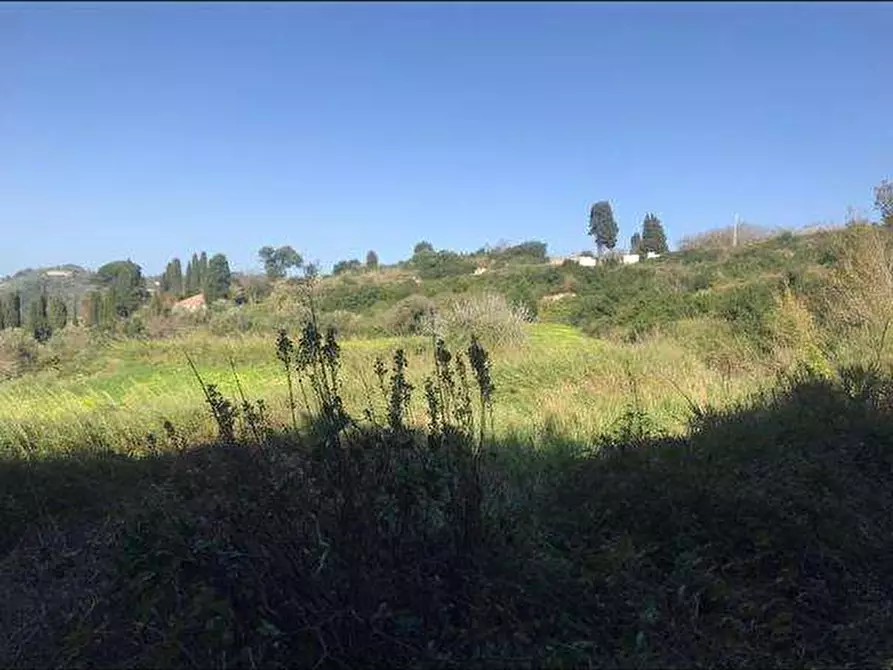 Immagine 7 di Terreno agricolo in vendita  a Messina