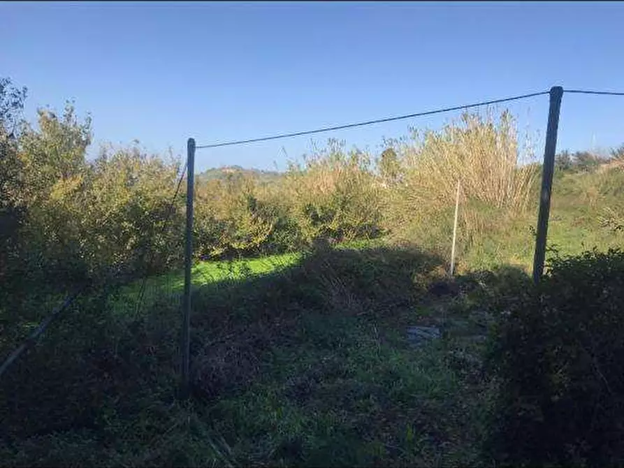 Immagine 8 di Terreno agricolo in vendita  a Messina
