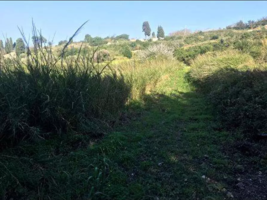 Immagine 10 di Terreno agricolo in vendita  a Messina