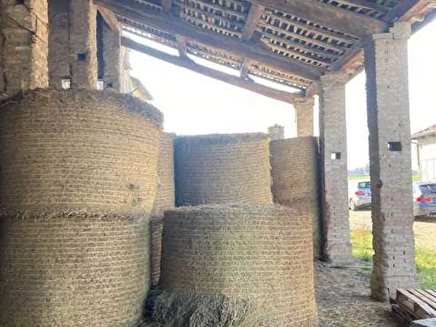 Immagine 6 di Rustico / casale in vendita  in VIA CREMONESE a Parma