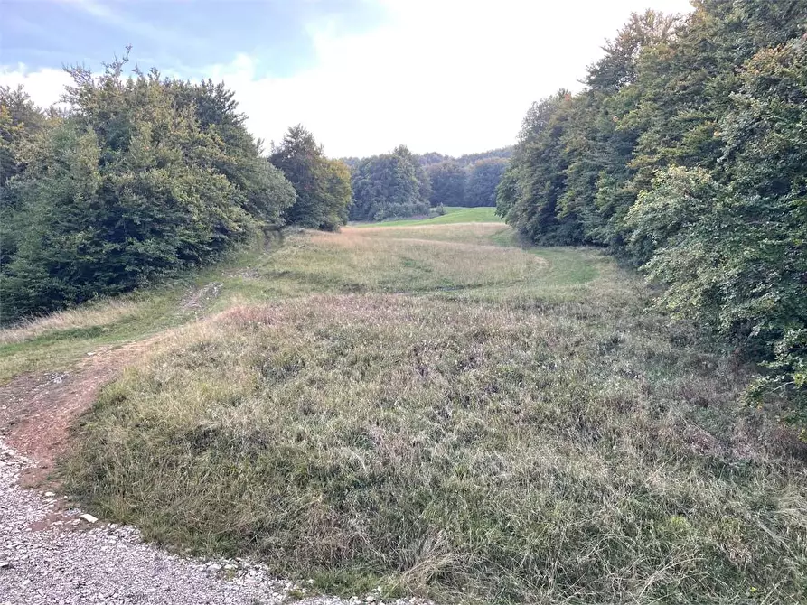 Immagine 4 di Stabile in vendita  in strada casagalvana a Tizzano Val Parma