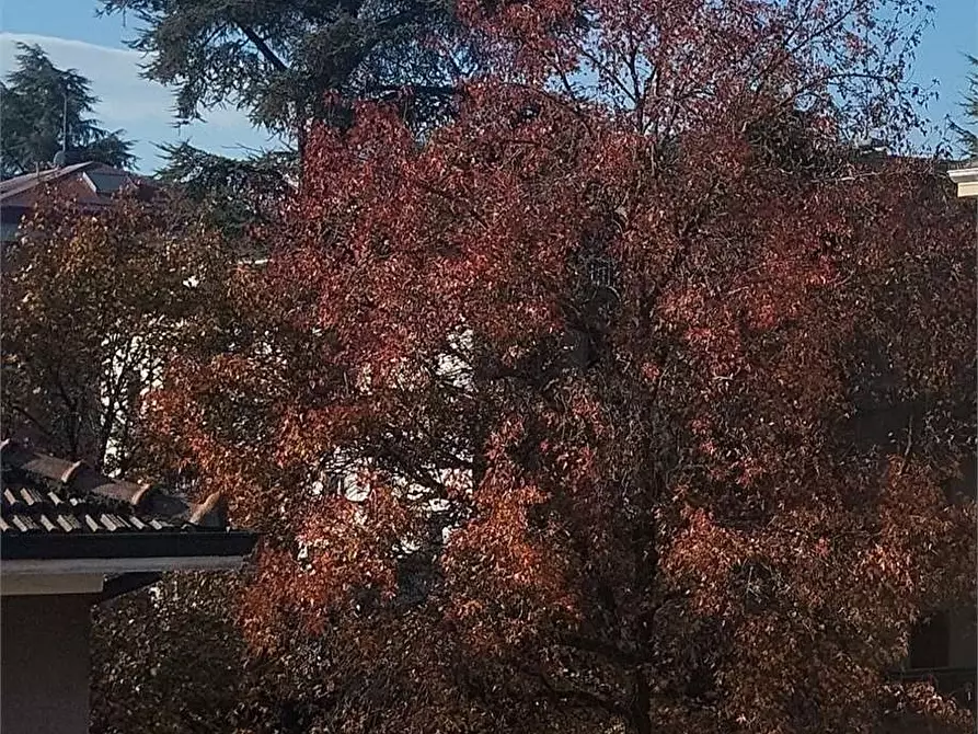 appartamento in vendita a Parma in zona Cittadella