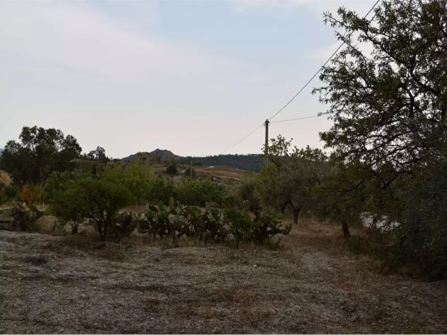Immagine 20 di Rustico / casale in vendita  in via boccadutri a Favara