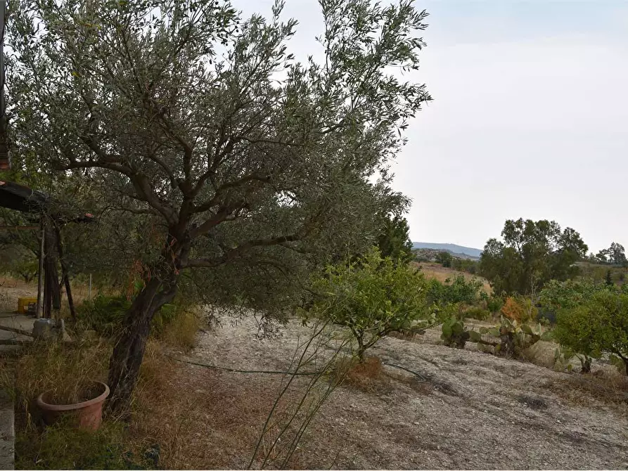 Immagine 21 di Rustico / casale in vendita  in via boccadutri a Favara