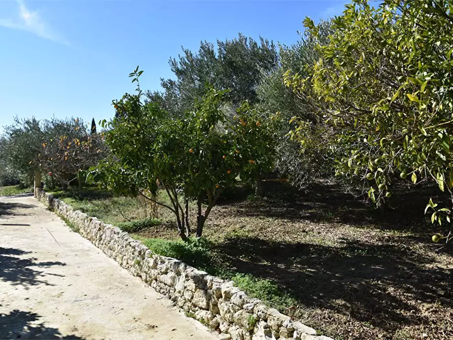 Immagine 33 di Dépendance in affitto  a Mussomeli