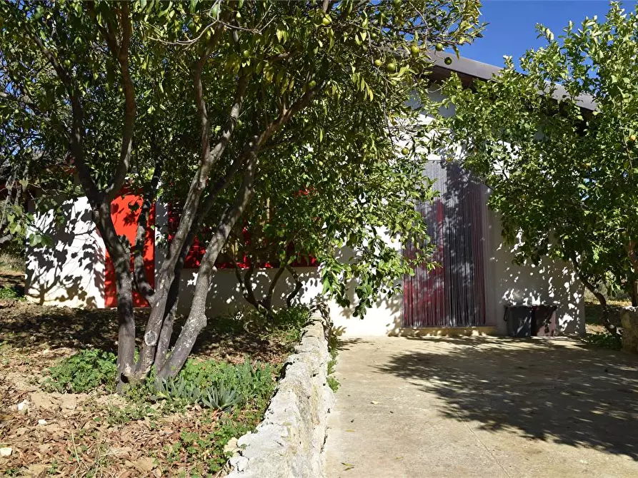 Immagine 34 di Dépendance in affitto  a Mussomeli