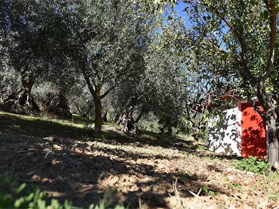 Immagine 35 di Dépendance in affitto  a Mussomeli