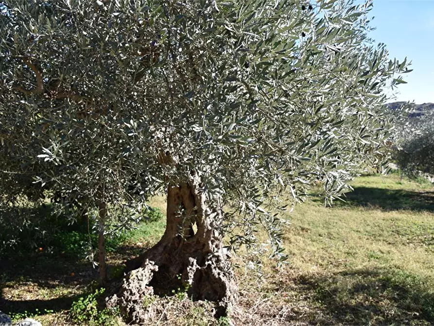 Immagine 37 di Dépendance in affitto  a Mussomeli
