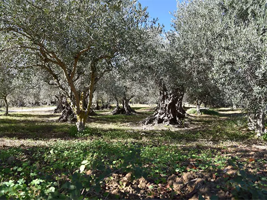 Immagine 38 di Dépendance in affitto  a Mussomeli