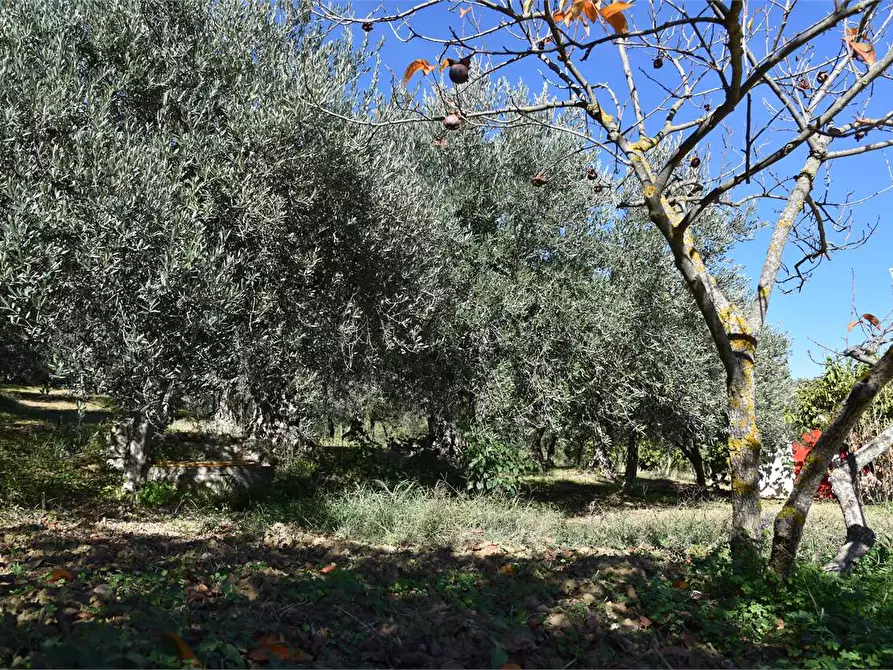 Immagine 39 di Dépendance in affitto  a Mussomeli