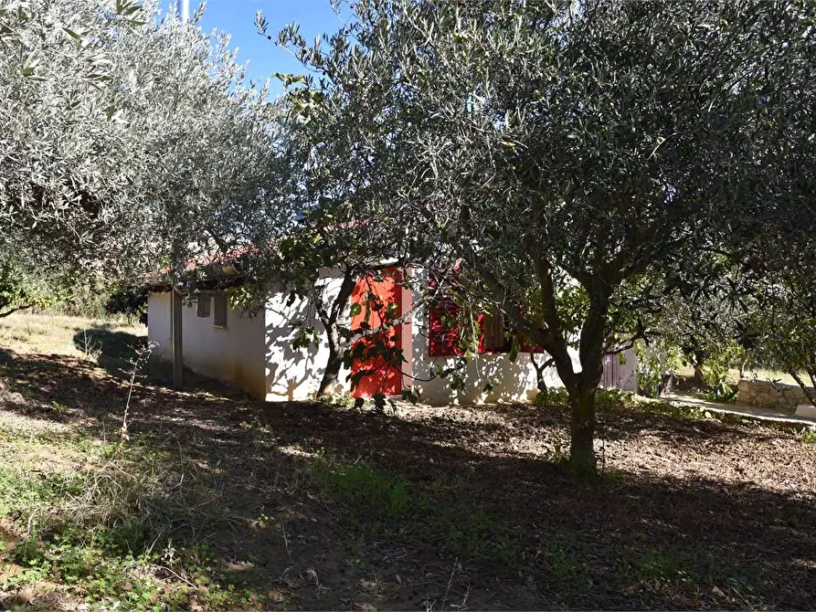 Immagine 40 di Dépendance in affitto  a Mussomeli