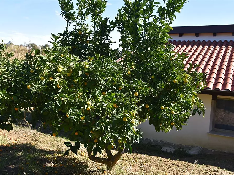 Immagine 41 di Dépendance in affitto  a Mussomeli