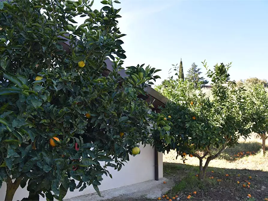 Immagine 42 di Dépendance in affitto  a Mussomeli