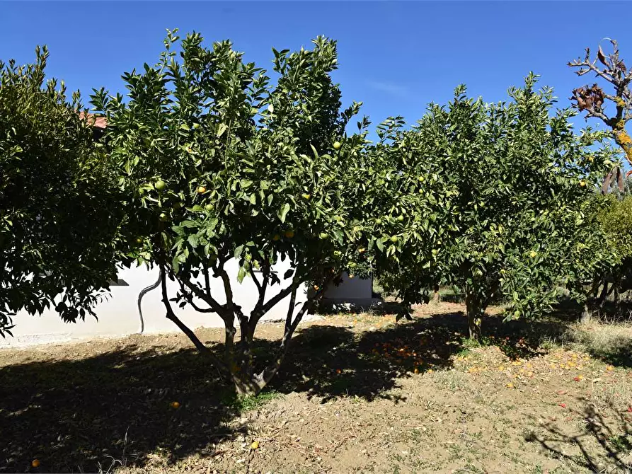 Immagine 44 di Dépendance in affitto  a Mussomeli