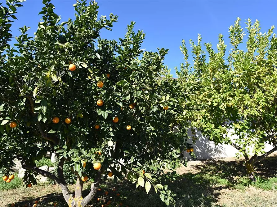 Immagine 45 di Dépendance in affitto  a Mussomeli