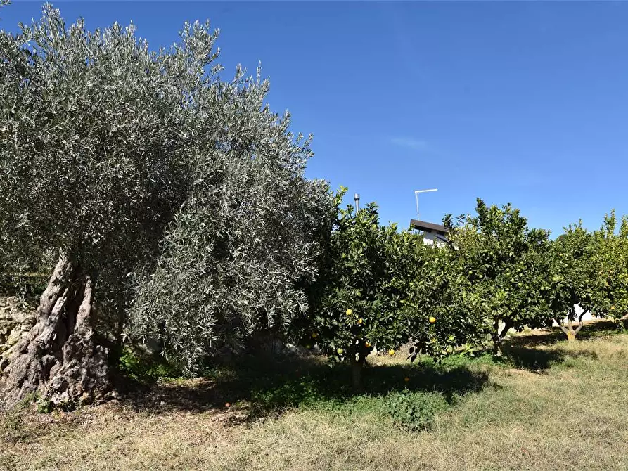 Immagine 48 di Dépendance in affitto  a Mussomeli