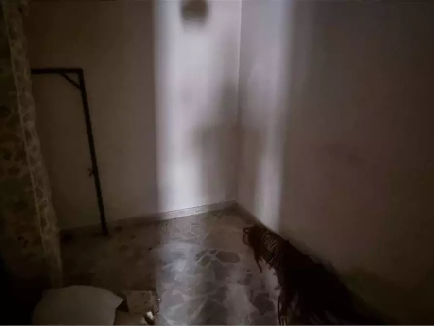 Immagine 14 di Casa indipendente in vendita  in Via San Francesco 8 a Acquaviva Platani