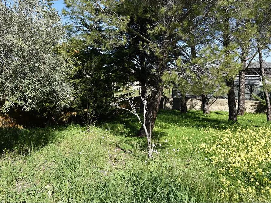 Immagine 32 di Porzione di villa in vendita  in sp3 a Favara