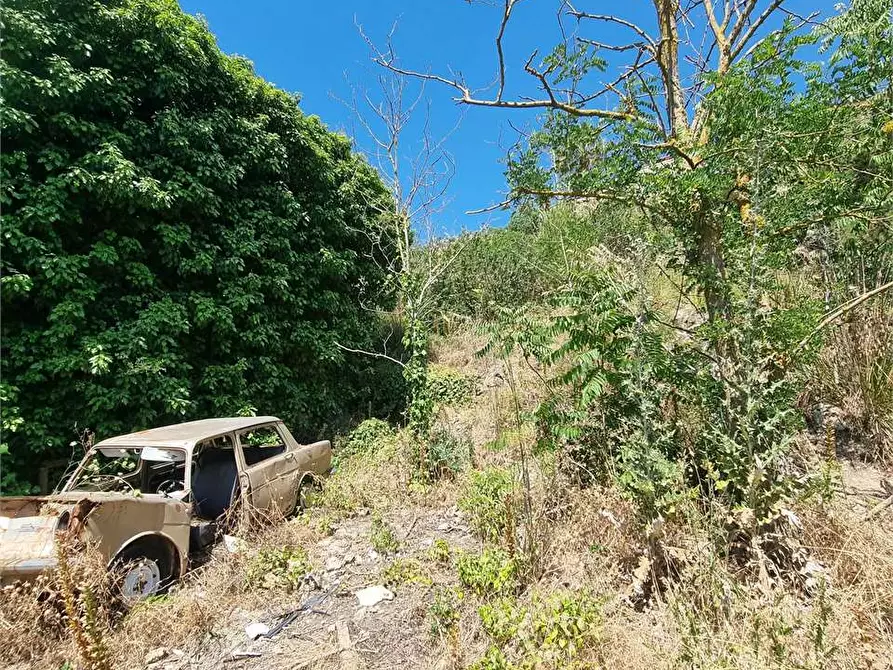 Immagine 5 di Terreno edificabile in vendita  a Mussomeli