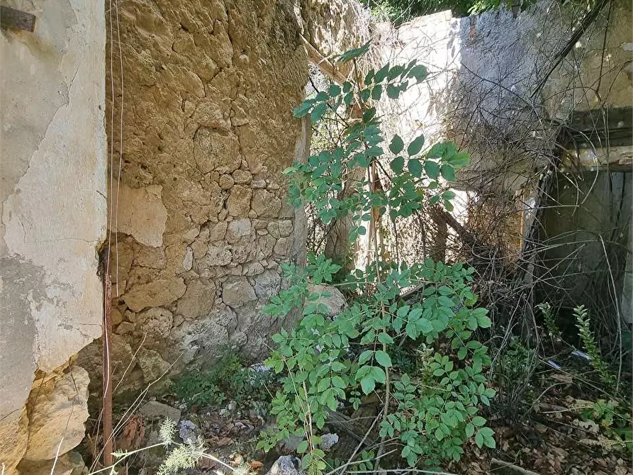 Immagine 8 di Terreno edificabile in vendita  a Mussomeli