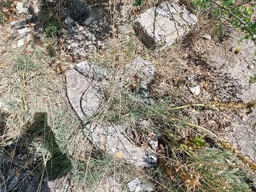 Immagine 10 di Terreno edificabile in vendita  a Mussomeli